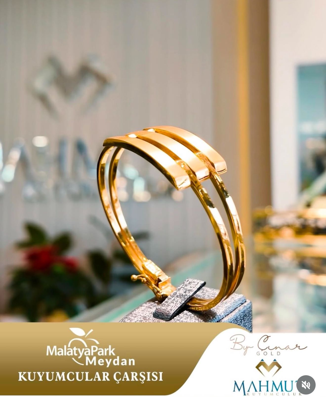 WhatsApp Görsel 2024-12-27 saat 15.21.18_58647825